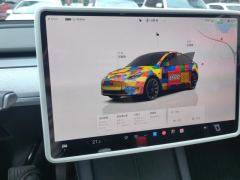 Tesla Model Y 554km Rear-Wheel Drive Edition - ფოტო 20