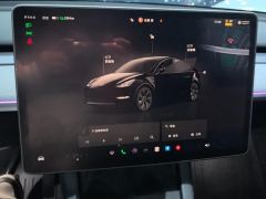 Tesla Model Y 554km Rear-Wheel Drive Edition - photo 17