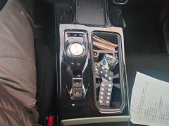 Haval Great Wall Big Dog Great Wall Dog 1.5T 2WD Edge Pastoral Edition - photo 19