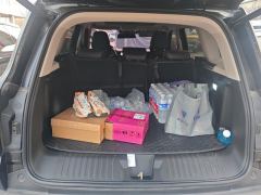 Haval Great Wall Big Dog Great Wall Dog 1.5T 2WD Edge Pastoral Edition - photo 7
