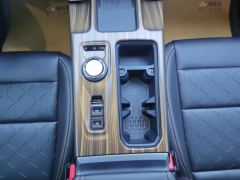Haval Great Wall Big Dog Great Wall Dog 1.5T 2WD Edge Pastoral Edition - photo 19