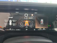 Tank 300 Off-Road Edition 2.0T Challenger - ფოტო 20