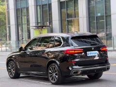 BMW X5 xDrive30Li Deluxe VersionM - ფოტო 3