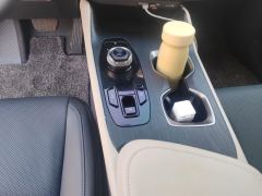 Lexus RZ 450e Enjoy Edition - ფოტო 19