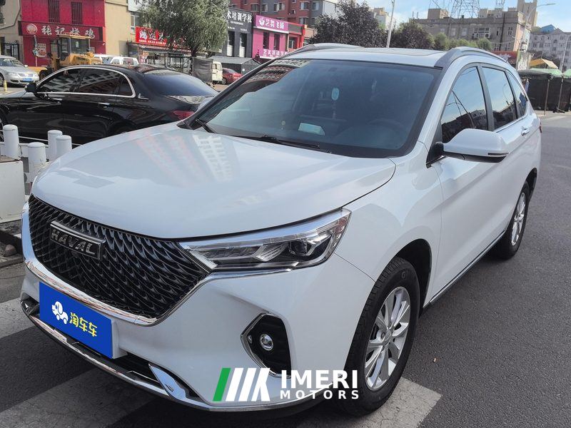 Haval M6 PLUS 1.5T Luxury Version - car from China