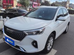 Haval M6 PLUS 1.5T Luxury Version - photo 1