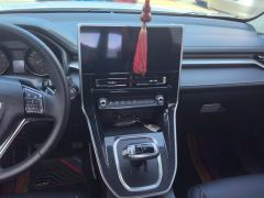 Haval M6 PLUS 1.5T Luxury Version - photo 17