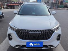 Haval M6 PLUS 1.5T Luxury Version - photo 3