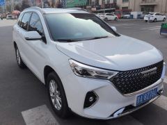 Haval M6 PLUS 1.5T Luxury Version - photo 8