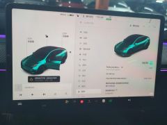 Tesla Model Y Standard endurance rear-wheel drive - photo 20