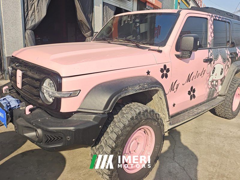 Tank 300 Off-Road Edition 2.0T Conqueror - ავტომობილი ჩინეთიდან