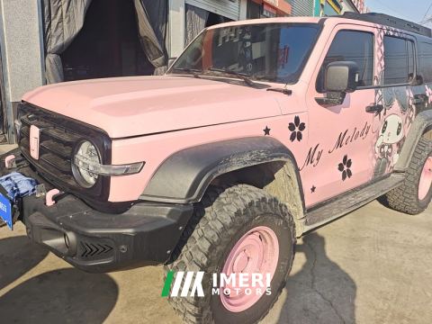 2021 Tank 300 Off-Road Edition 2.0T Conqueror - автомобиль из Китая
