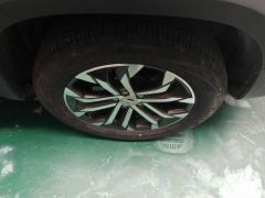 Haval Great Wall Big Dog Great Wall Dog 2.0T Two-wheel drive Chinese hunting dog version - photo 6