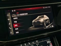 Audi Q8 55 TFSI quattro Exclusive Dynamic Edition - ფოტო 4