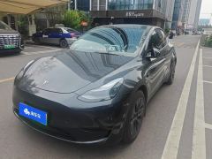 Tesla Model Y 554km Rear-Wheel Drive Edition - ფოტო 1