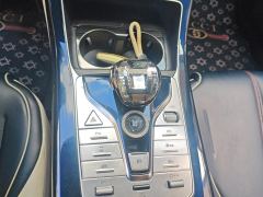 BYD Qin PLUS DM-i 55km Flagship - photo 19