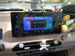 Geely Panda 200km - ფოტო 17
