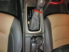 Chevrolet Monza 320 Edition - ფოტო 19