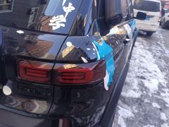Geely Cowboy 1.5T Funny Edition - ფოტო 5