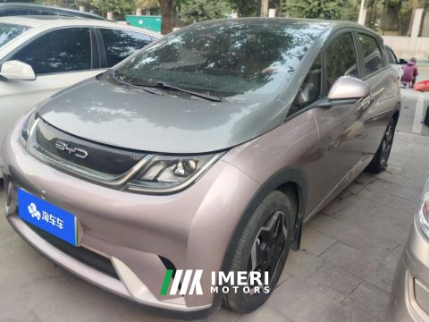 2021 BYD Dolphin 405km Stylish Edition - car from China