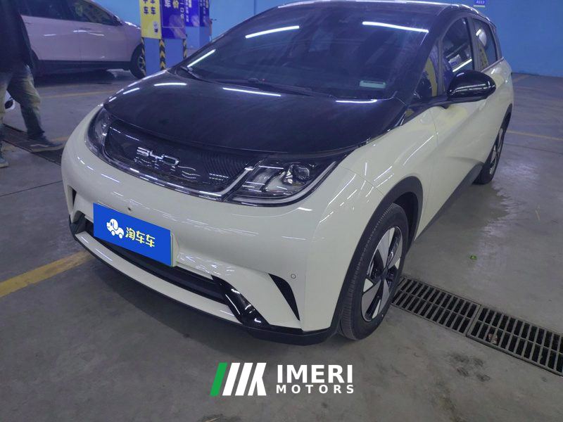 BYD Dolphin 420km Stylish Edition - car from China