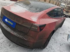 Tesla Model 3 556km Rear-Wheel Drive Edition - photo 2