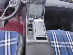 Roewe eRX5 ePLUS 1.5T Flagship Edition - фото 19