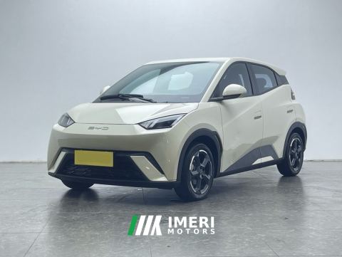 2024 BYD Seagull Honor Edition 305km Free Version - автомобиль из Китая