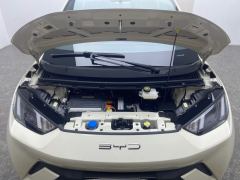 BYD Seagull Honor Edition 305km Free Version - ფოტო 8