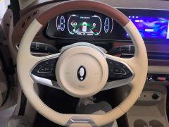 Ora Great Wall Good Cat 401km Prestigious Edition - ფოტო 18