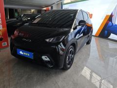 BYD Seagull 305km Free Version - ფოტო 1