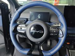 BYD Seagull 305km Free Version - ფოტო 18