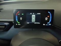 BYD Seagull 305km Free Version - ფოტო 20