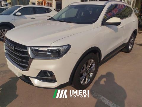 2021 Haval H6 Guochao Edition 1.5T 2WD Champion Edition - car from China