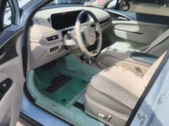 Ora Great Wall Good Cat 401km Luxury Edition - photo 14