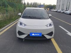 BYD Seagull Smart Driving Edition 405km Flying Edition - photo 3