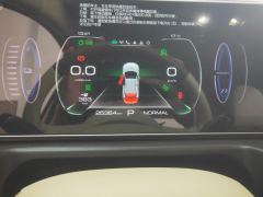 Ora Great Wall Good Cat 401km Prestigious Edition Lithium iron phosphate - ფოტო 20