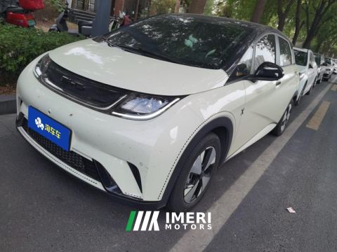 2023 BYD Dolphin 420km Stylish Edition - автомобиль из Китая