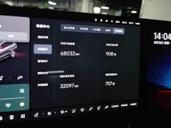 Li Auto L9 Max - ფოტო 20