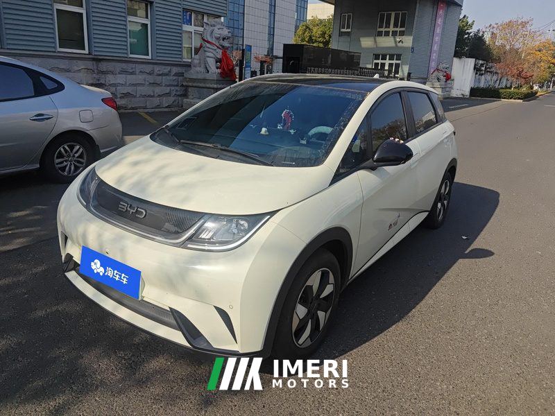 BYD Dolphin Honor Edition 420km Stylish Edition - ავტომობილი ჩინეთიდან