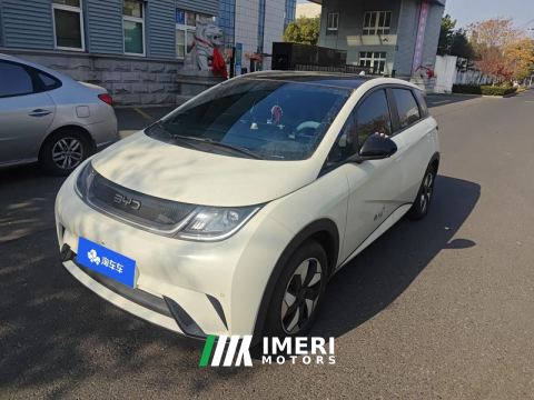 2024 BYD Dolphin Honor Edition 420km Stylish Edition