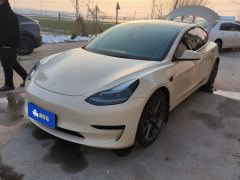 Tesla Model 3 556km Rear-Wheel Drive Edition - ფოტო 1