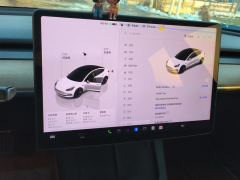 Tesla Model 3 556km Rear-Wheel Drive Edition - ფოტო 20