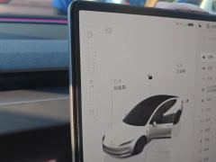Tesla Model 3 606km Rear-Wheel Drive Edition - ფოტო 19