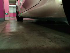 Tesla Model 3 556km Rear-Wheel Drive Edition - ფოტო 11