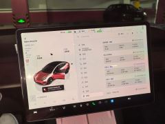 Tesla Model 3 556km Rear-Wheel Drive Edition - ფოტო 20