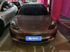 Tesla Model 3 556km Rear-Wheel Drive Edition - ფოტო 3