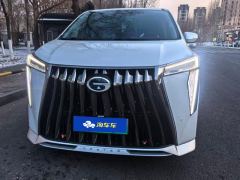 GAC Trumpchi E9 2.0T 136km Master - photo 3