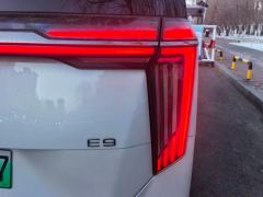 GAC Trumpchi E9 2.0T 136km Master - photo 5