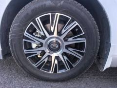 GAC Trumpchi E9 2.0T 136km Master - photo 6